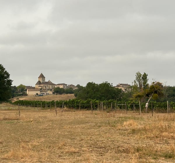 Boucle entre Mérignas et Saint Vincent de Pertignas - Mérignas - 1