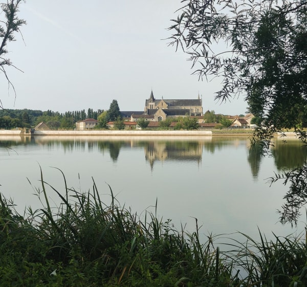 Balade autour de La Puye au grand étang - La Puye - 1