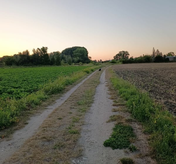 Balade le long des étangs et rivière à Couloisy - Couloisy - 1