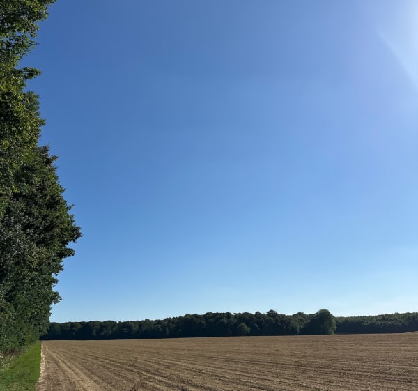 Autour d’Alette - claude - 1