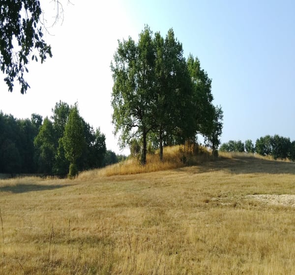 Petit tour en Brenne depuis Méobecq - Méobecq - 1