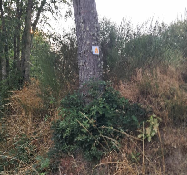 Chemin des écolier depuis la Bessiere St Marc - Val d'Arcomie - 1