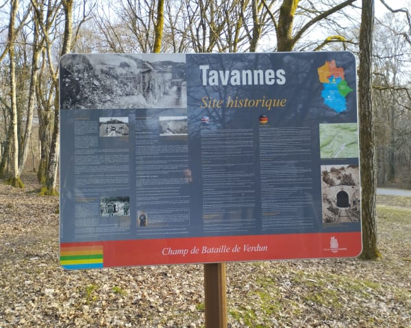 Tour en forêt de Douaumont - Fleury-devant-Douaumont - 1