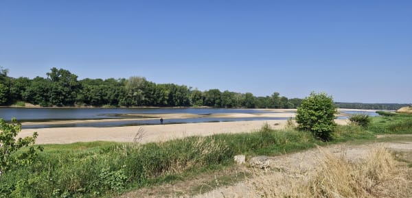 Les Rosiers-sur-Loire et boucle pour prendre la clé des champs - Les Rosiers-sur-Loire - 1