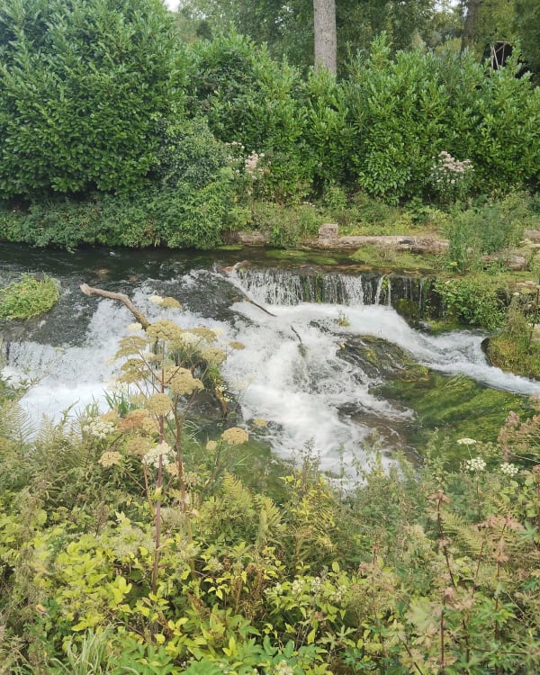 Au Bec-de-Mortagne pars le Bois des Dix Acres - Bec-de-Mortagne - 1