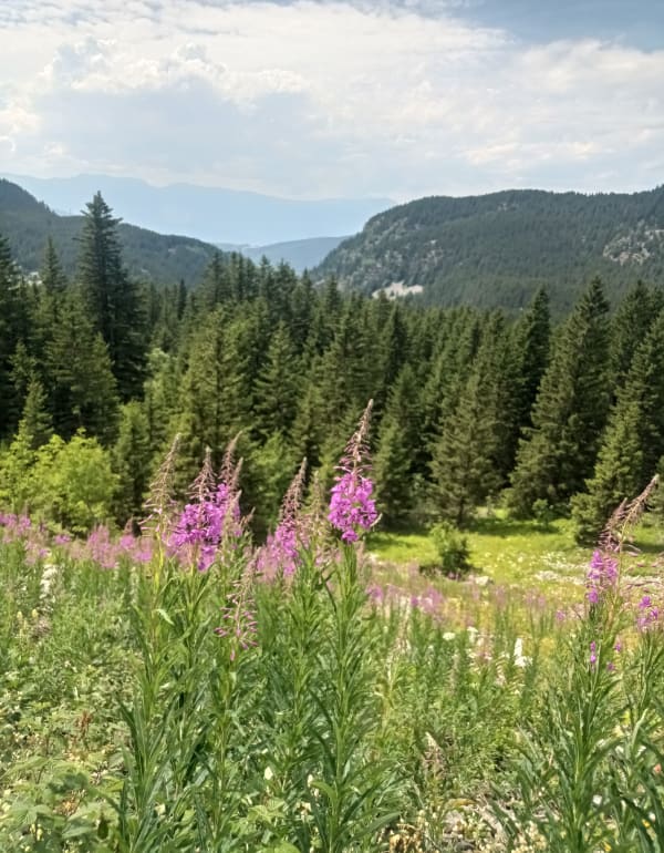 Escapade au Lac Fourchu depuis le Lac de Poursollet - Livet-et-Gavet - 1