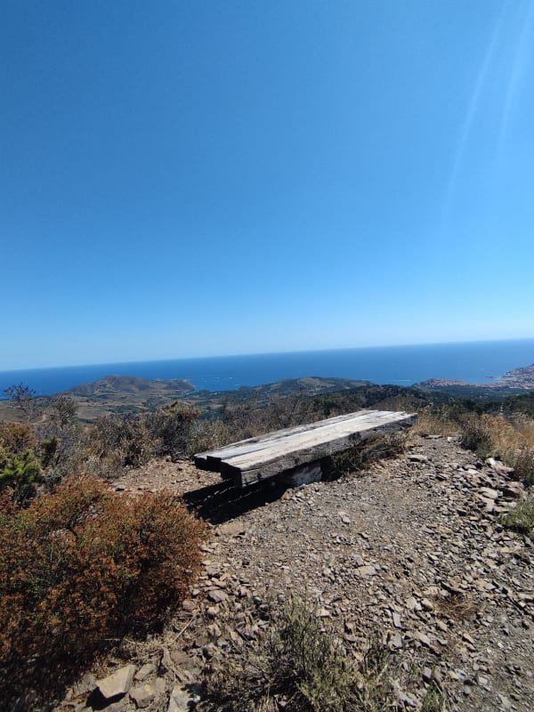 Vignobles de Banyuls-sur-Mer et GR® 10 - Banyuls-sur-Mer - 1