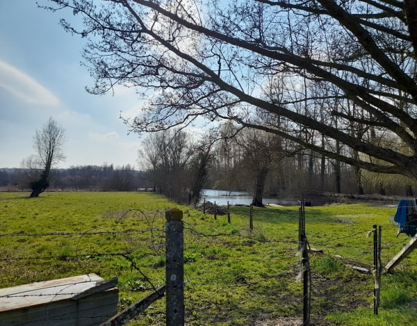 Univers aquatique le long du canal de la Somme - Alyson - 1