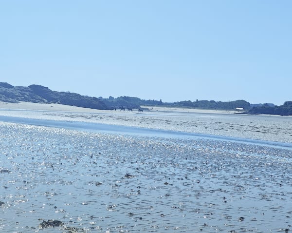 Ontdekking van de baai van Lancieux - Lancieux - 1