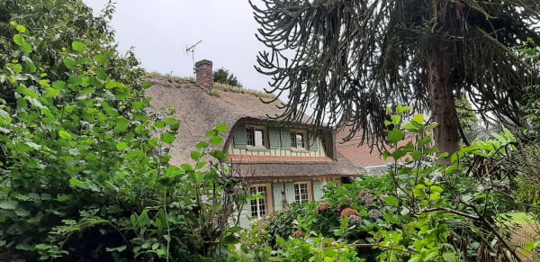 Morinerie et bois des Guillebourdières - La Cerlangue - 1