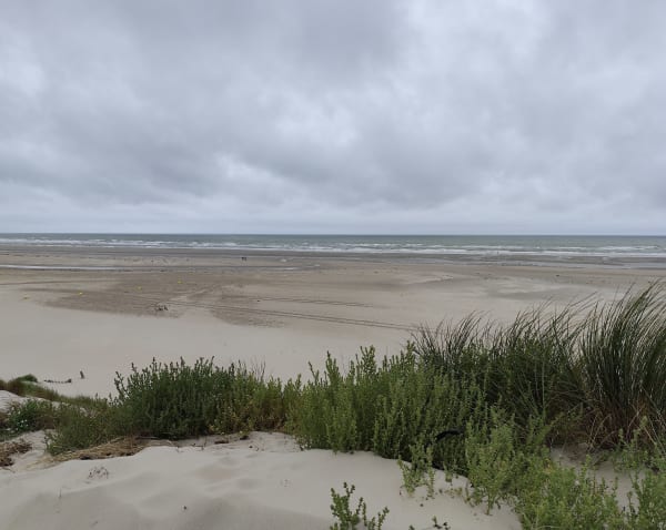 Détente depuis Cucq et au bord de la Manche par le GR® 120 - Stella-Plage, Cucq - 1