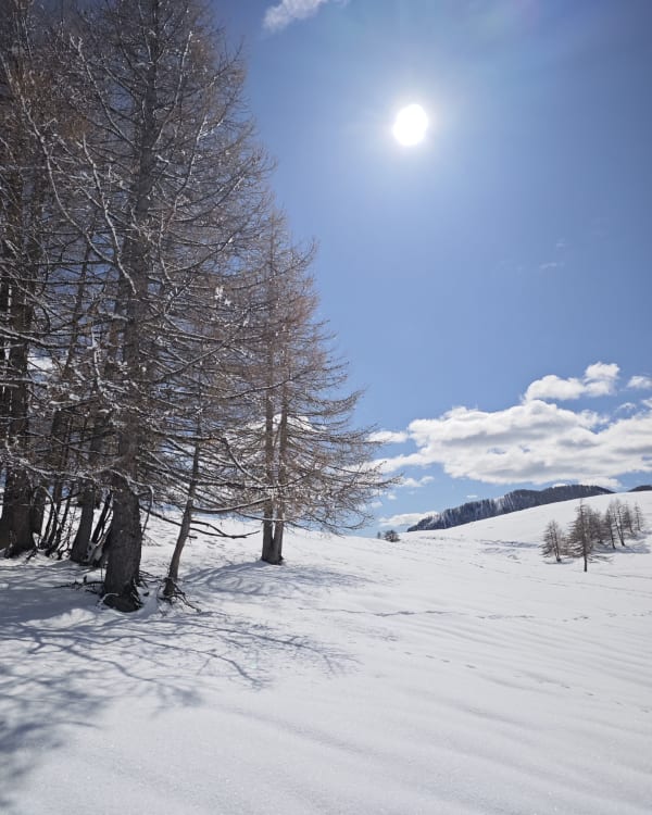 Plateau Saint-Jean de Beuil-les-Launes - Beuil - 1