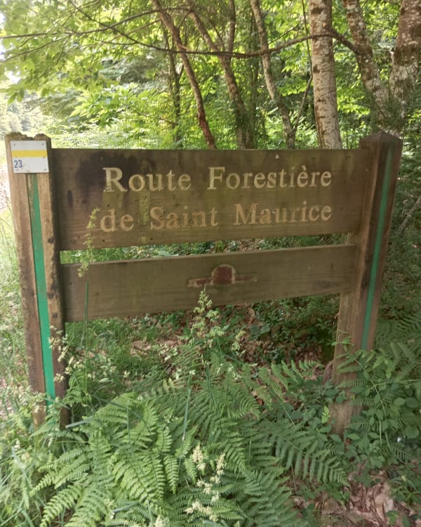 Découverte de la forêt de Toulfoën - Quimperlé - 1