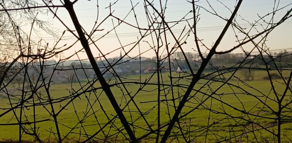 Balade au bois de Molliens-au-Bois - Molliens-au-Bois - 1