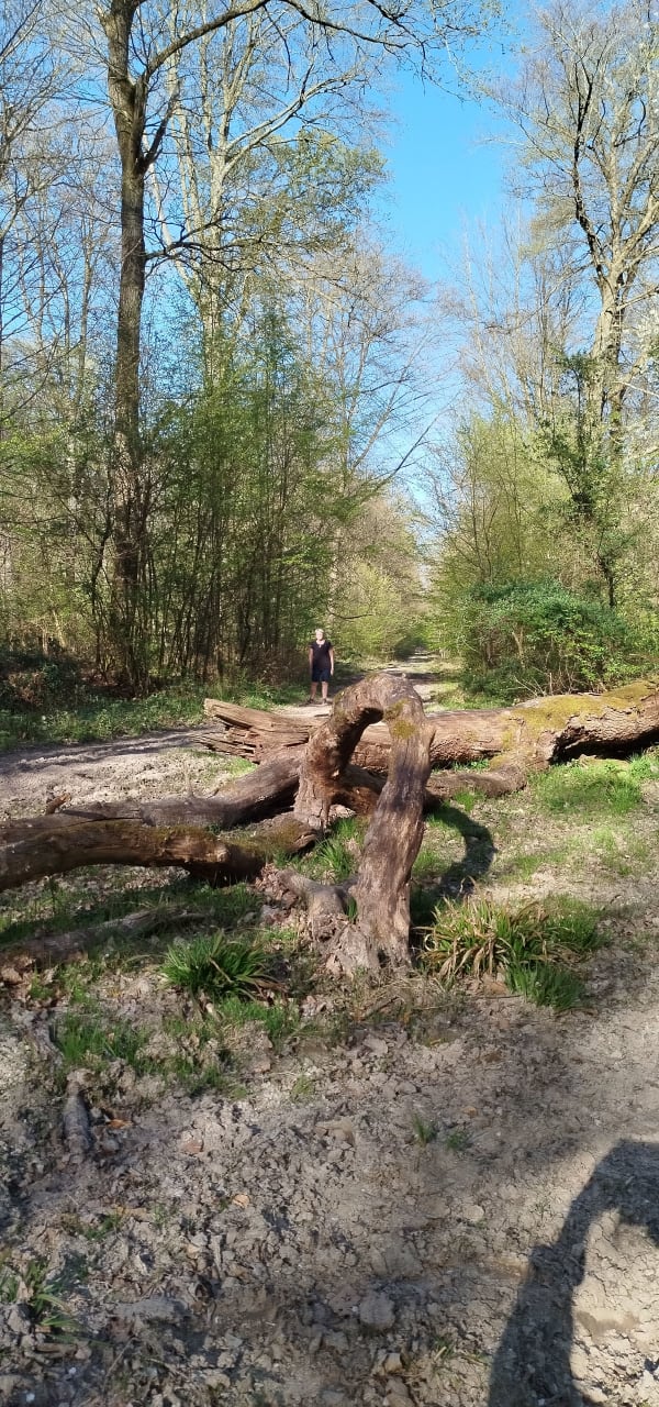 Saint-Pierre-Aigle et sortie cool à l'orée de la forêt de Retz - Saint-Pierre-Aigle - 1