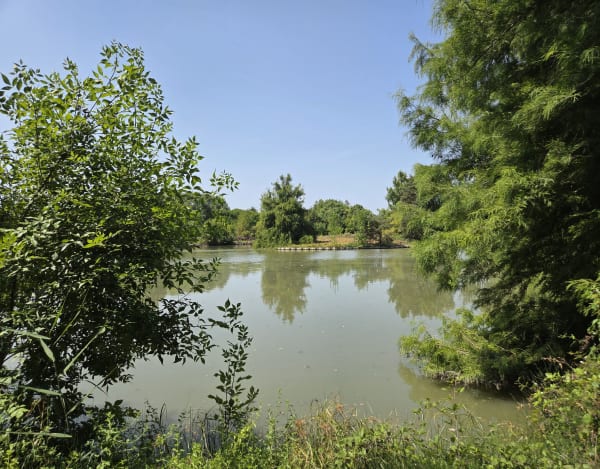 Réserve écologique des Barails et son sublime parc paysager - CHRISTINE - 1