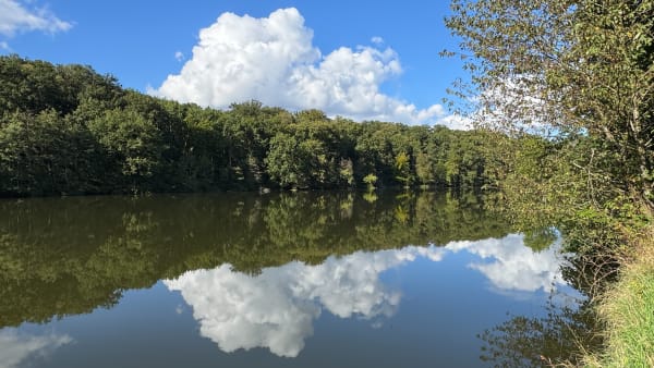Tour des étangs de la forêt de Versailles et rencontres discrètes - Romain - 1