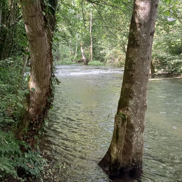 Les roches de Basseville - Surgy - 1