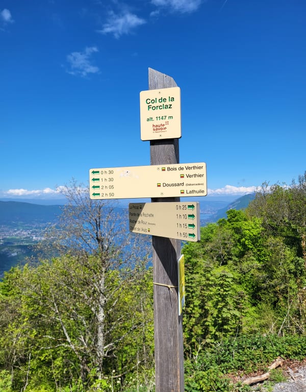 Col de la Forclaz, hameaux et envolées bleues - Faverges-Seythenex - 1