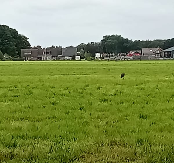 Zaterdag 16 augustus - Apeldoorn - 1