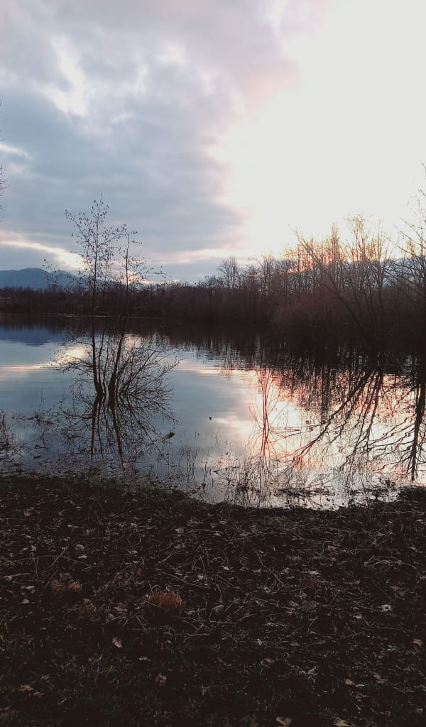 Etangs d'Ingersheim et beautés diverses de la nature - Ingersheim - 1