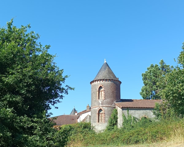 Balade autour du lac de Ribou - Cholet - 1