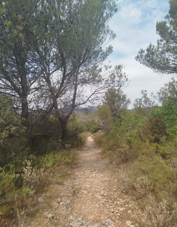 Eyguières et le cirque de Borme - Eyguières - 1