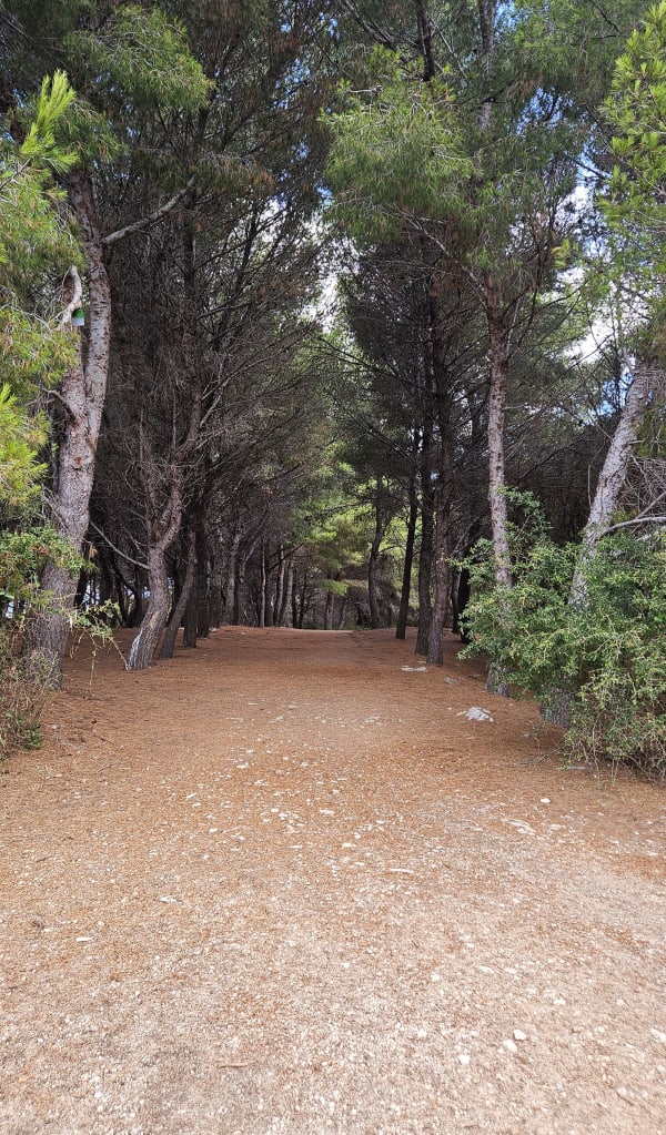 Tour de l'Ile Sainte-Marguerite et dépaysement garanti - Ile Sainte-Marguerite - 1