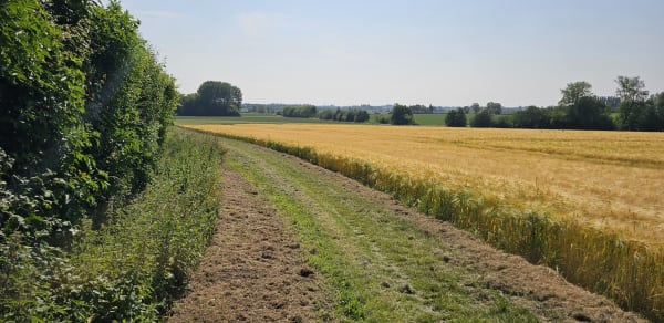 Het achterland van Duinkerke en de sprankelende natuur - Cassel - 1