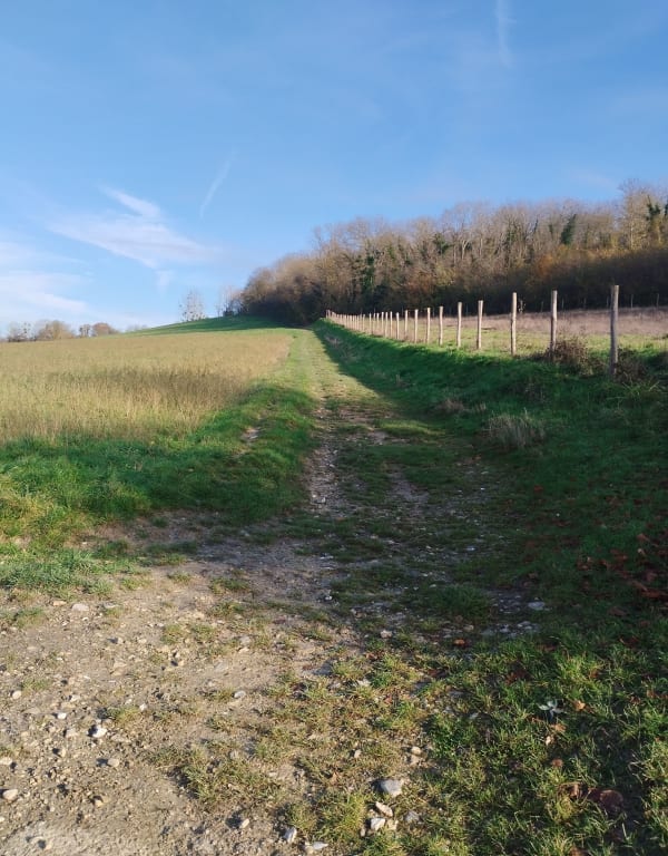 Le vallon de Vaucouleurs au départ de Vert - Vert - 1
