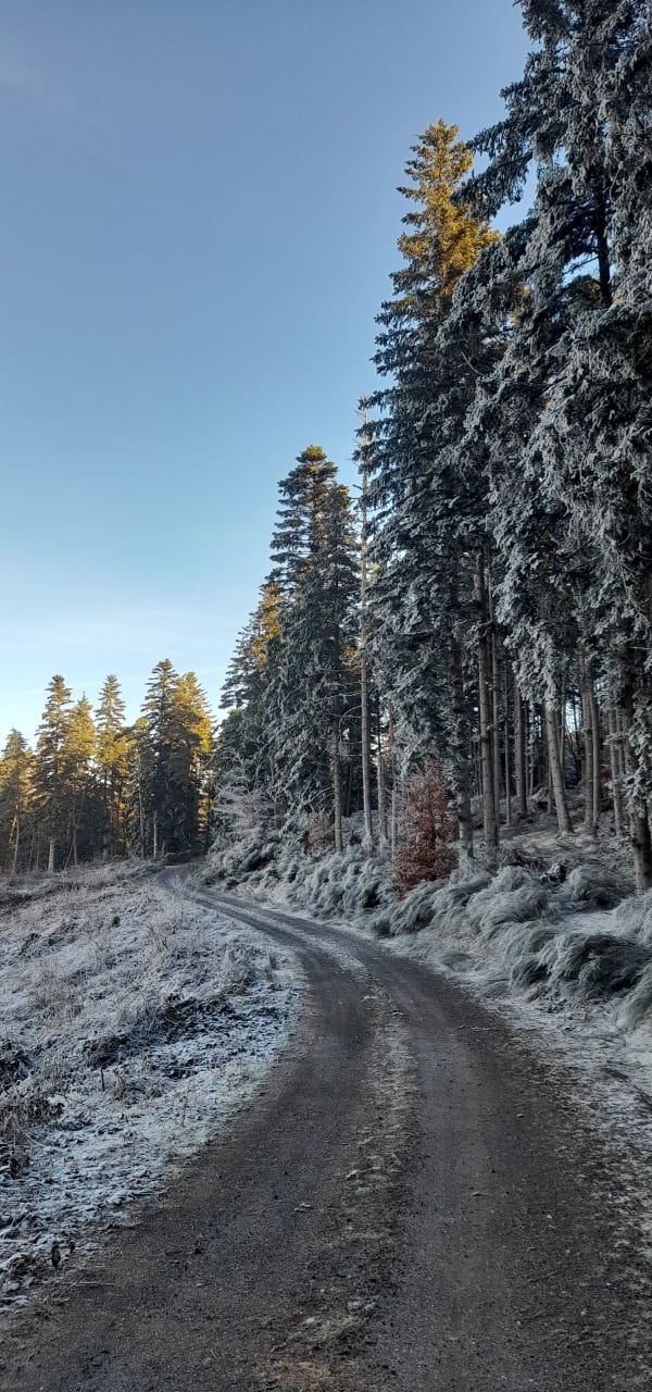 Neyraval, son moulin et balade dans les bois - Xavier - 1