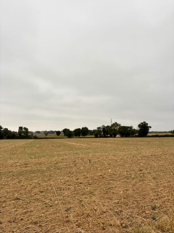 Balade dans les champs de Saint-Christophe-du-Bois - Saint-Christophe-du-Bois - 1