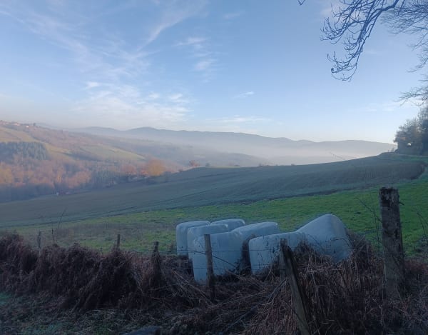 Sur les hauteurs de Sorbiers - herve - 1