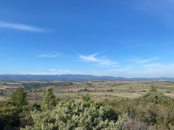 Chemin du puech - Murviel-lès-Béziers - 1