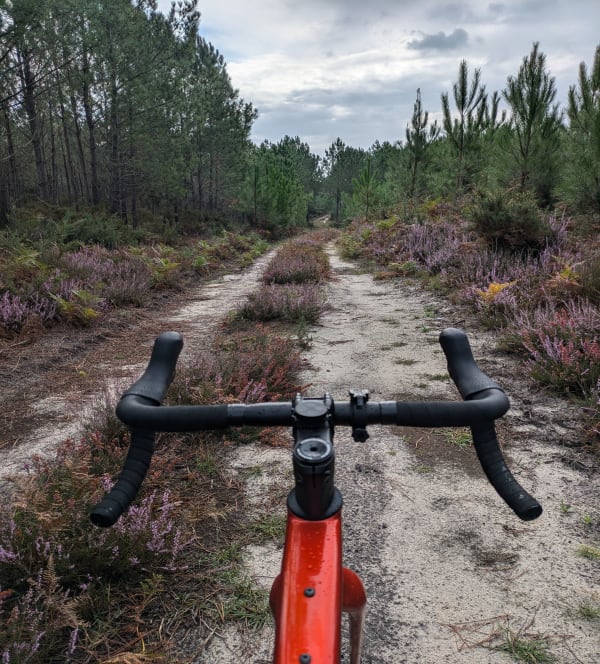 À VTT dans les Landes et senteurs de pinèdes à Seignosse - david - 1