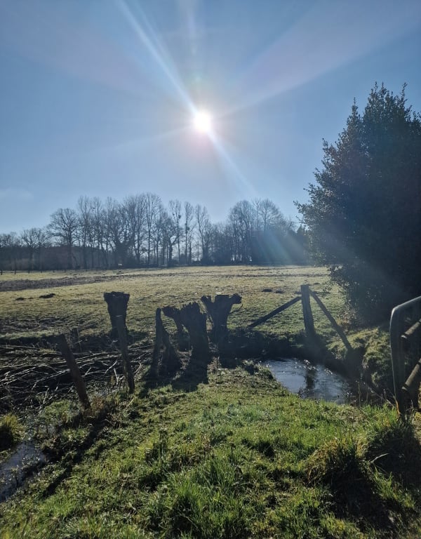 Flers entre ville et campagne, par la Rivière - BEATRICE - 1