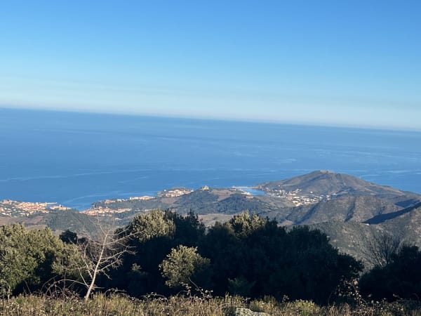 Argelès-sur-Mer et le massif des Albères - Argelès-sur-Mer - 1