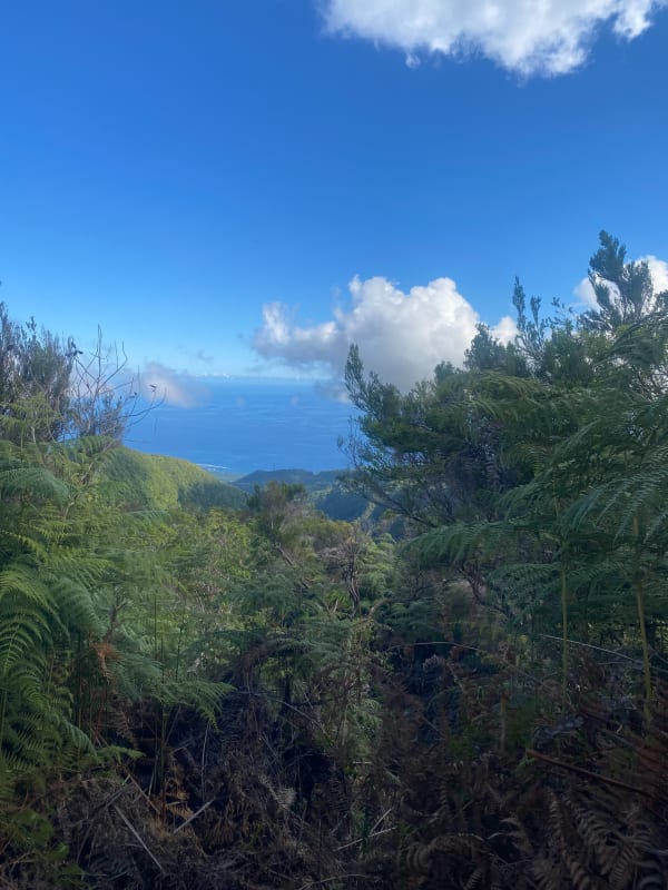Camp Jackelin par Piton la Croix - L'Étang-Salé - 1