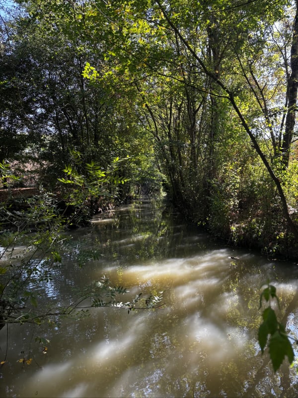 À travers les canaux du marais et ambiance unique à Arçais - Arçais - 1