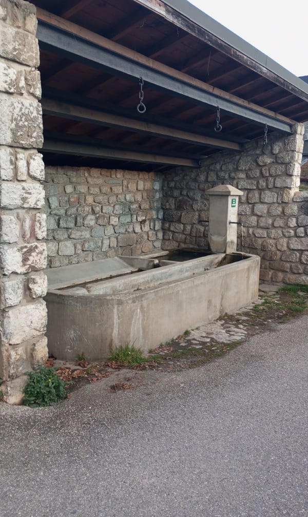 Balade vallonnée dans les vignes de Chignin - Chignin - 1