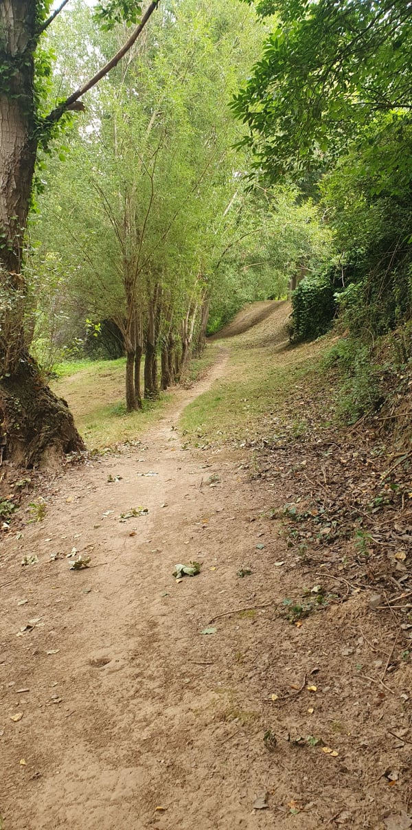 Rondje in Montauban, groene route langs de Tarn - Montauban - 1