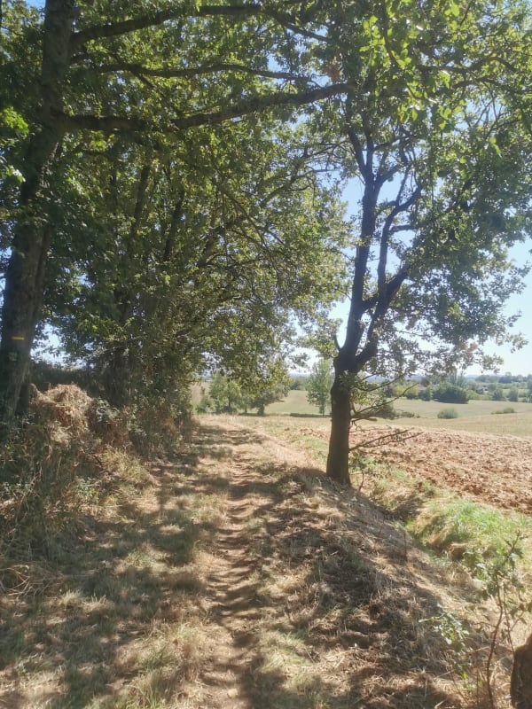 Balade à Labastide-Dénat par Pratvieil - Puygouzon - 1