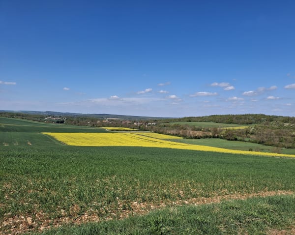 Trop belle cette randonné aux Escamps - Escamps - 1