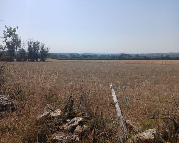 Sur les chemins champêtres de Saint-Baudille-de-la-Tour - Saint-Baudille-de-la-Tour - 1