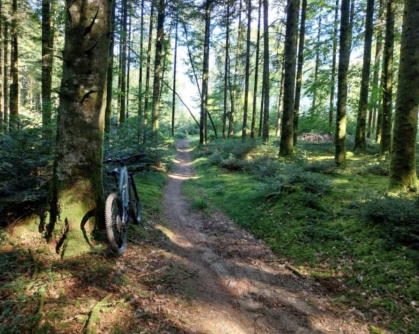 Circuit des Monts de Guéret en VTT - Sainte-Feyre - 1