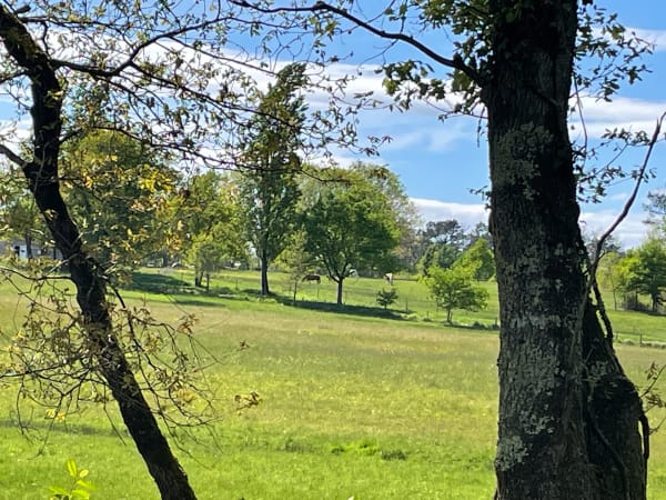 Visite de Chamadelle et ses jolis sous-bois - Chamadelle - 1