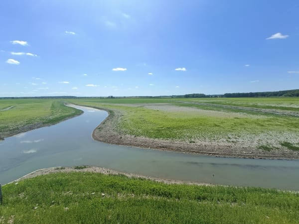 Dieuze et son incroyable patrimoine naturel - Dieuze - 1