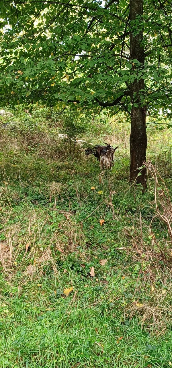 Montreuil : parc des Beaumonts et Butte aux Papillons - Montreuil - 1