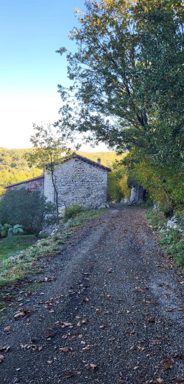 Balazuc, méandres de l'Ardèche et merveilles de la nature - Balazuc - 1
