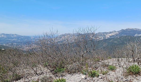 Au-dessus de Ceyreste, jusqu'au Montounier - Ceyreste, La Ciotat - 1